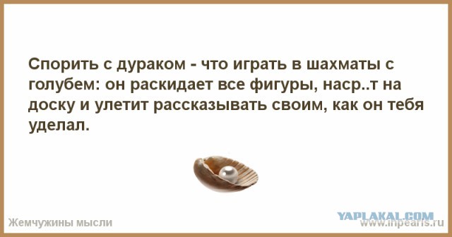Кремль прокомментировал антикризисную программу Навального