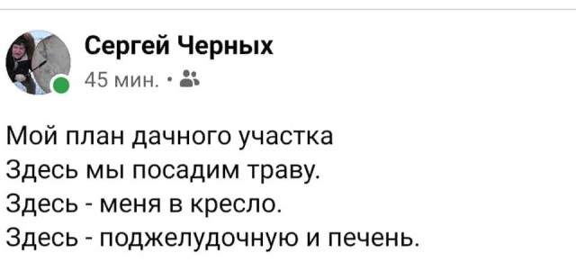 Свинегрет: картинки, надписи и прочее на 31.07 или №28