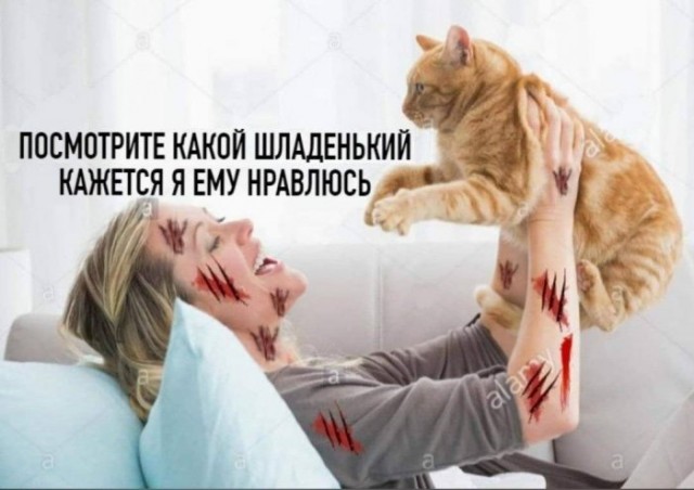 Немного картинок для настроения 27.08.20