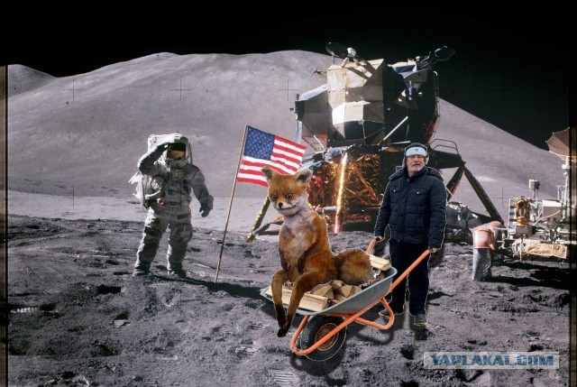 Дровишки в баню или "Гоблин" Пучков попал на фотожабу