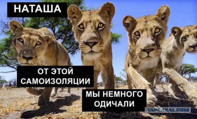 Наташа, вставай!