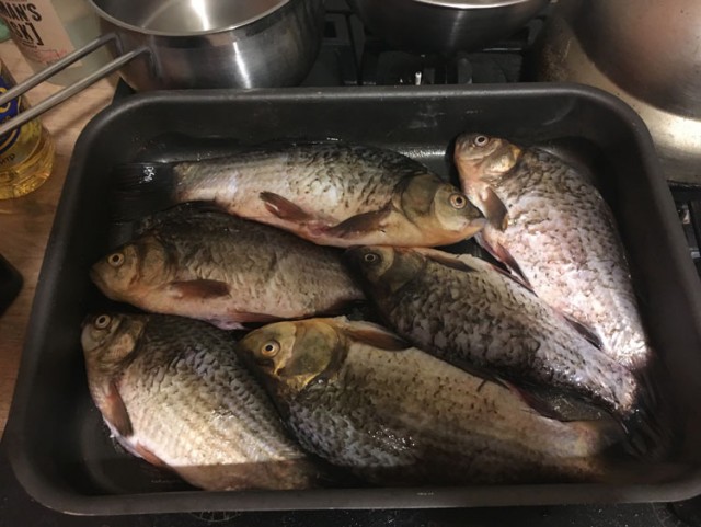 Лето, речка, караси