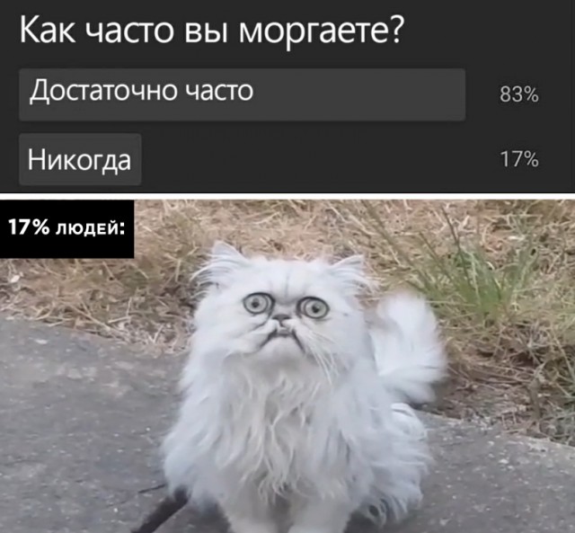 Весёлый полтишок 16.03