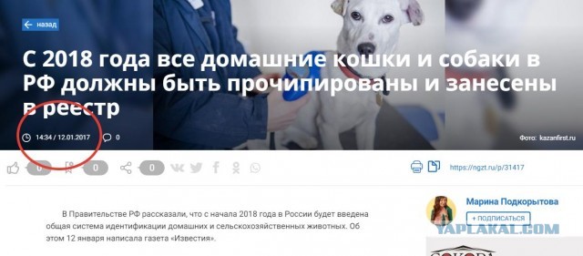 В Думу внесен законопроект об обязательной регистрации собак и кошек