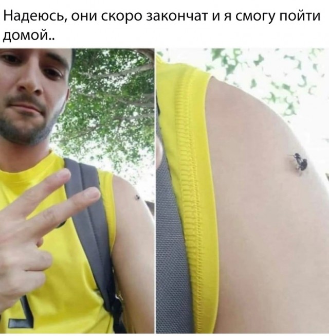 Весёлый полтишок 18.05