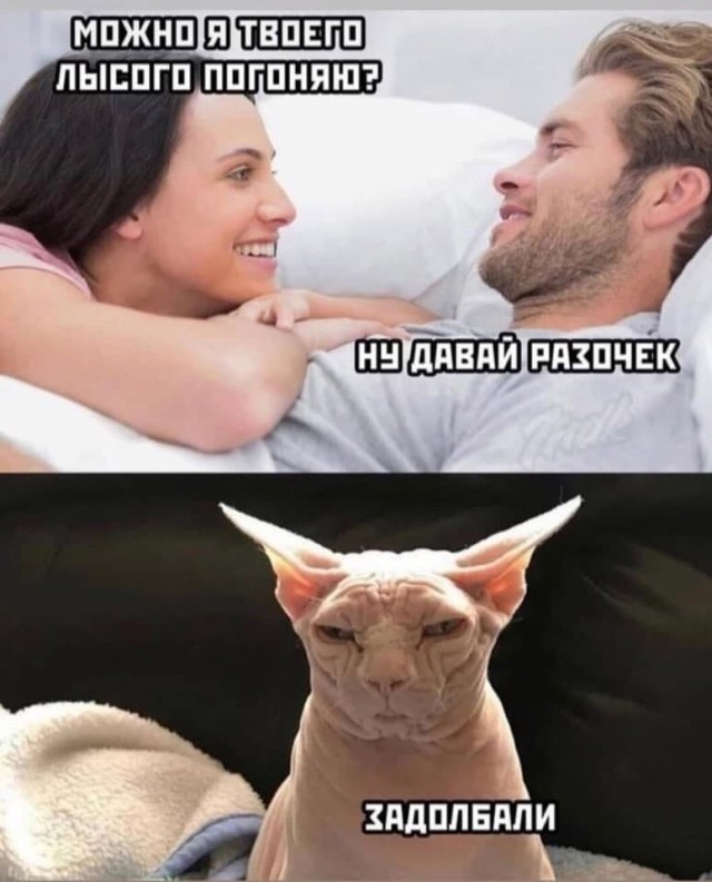 Аморальная деградация