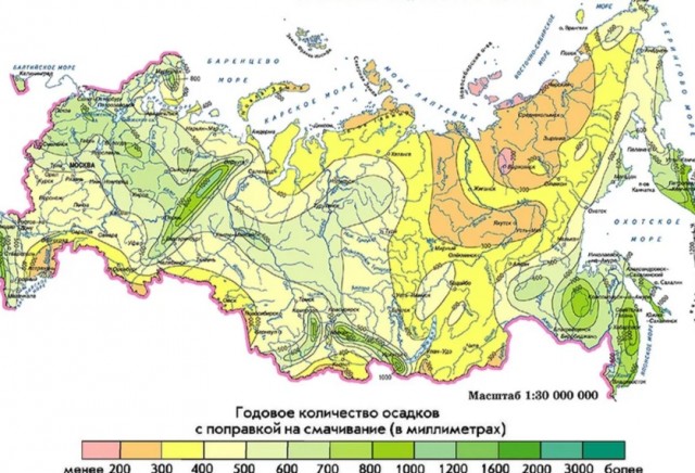 Российские леса постоянно горят, но их биомасса рекордно выросла. Как так вышло и что из этого следует?