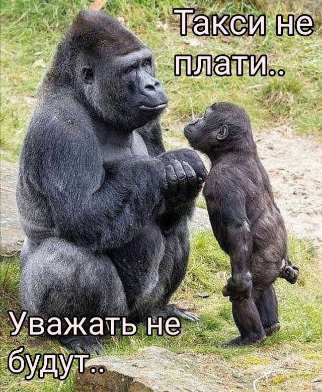 Дагестанцы кинули таксиста