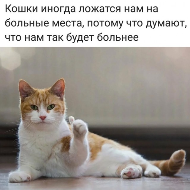 Весёлый полтишок 02.10
