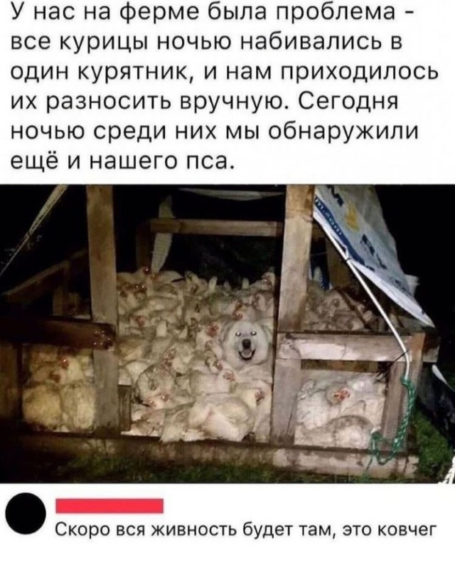 Картинки 23.10.21