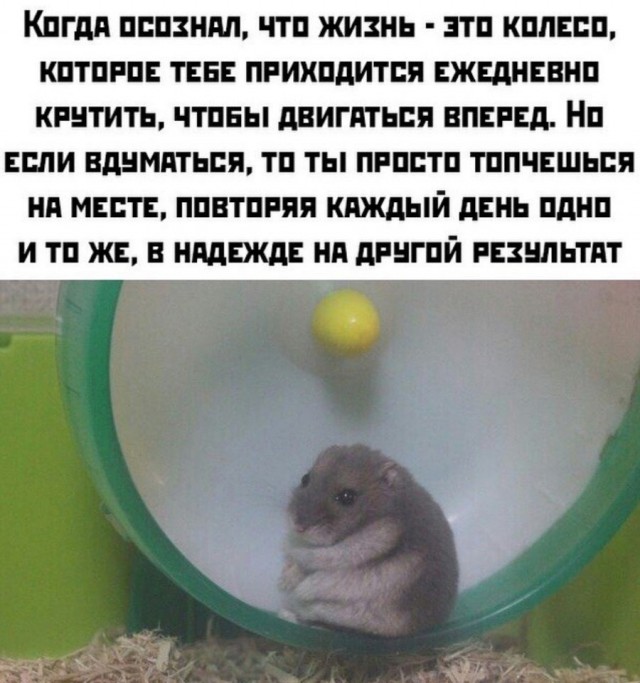 Так себе картинки 05.11.21