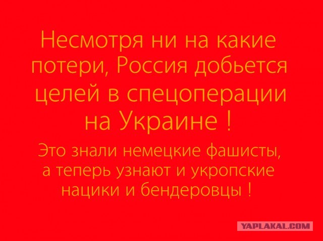 Кадыров показал захваченное украинское вооружение и технику