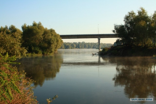 Сплав по Десне, сентябрь 2011