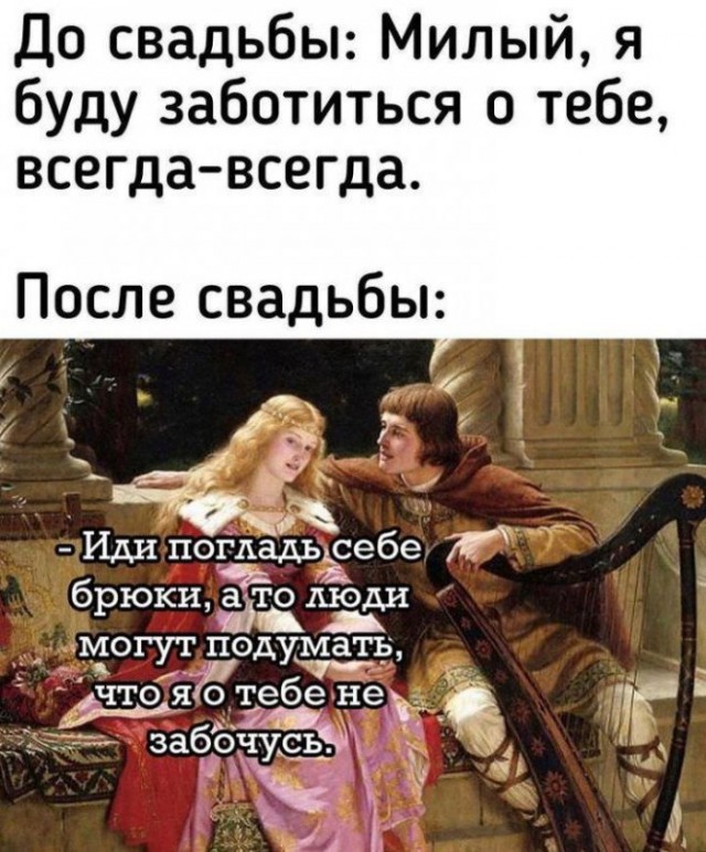 Весёлый полтишок 08.06.2022