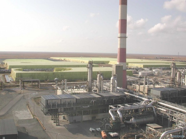 Они живут только 40 лет