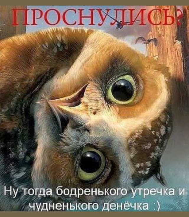 После развода