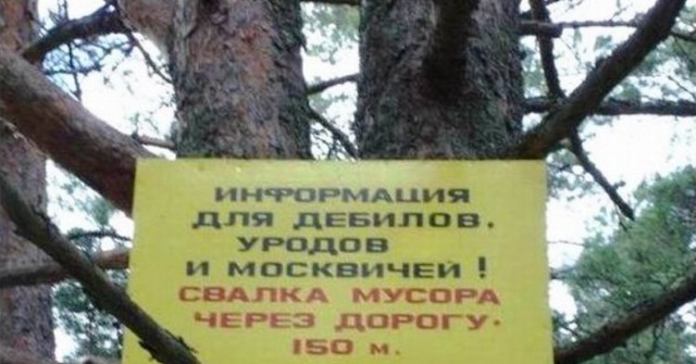 Бич Московской области