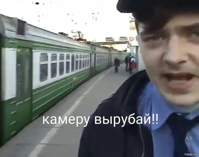 Отдали кота