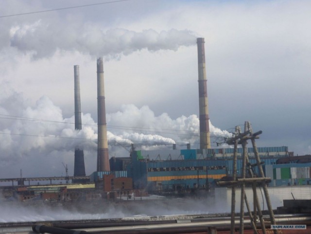 За Полярным кругом. Норильск. Тундра.