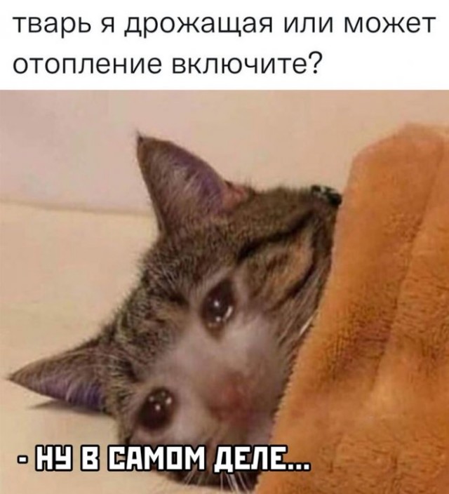 Немного картинок для настроения - 114
