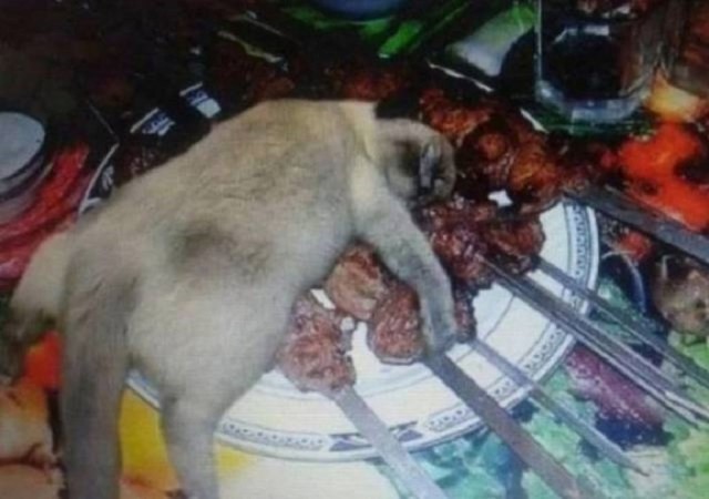 Такие баяны, что это уже Археология!