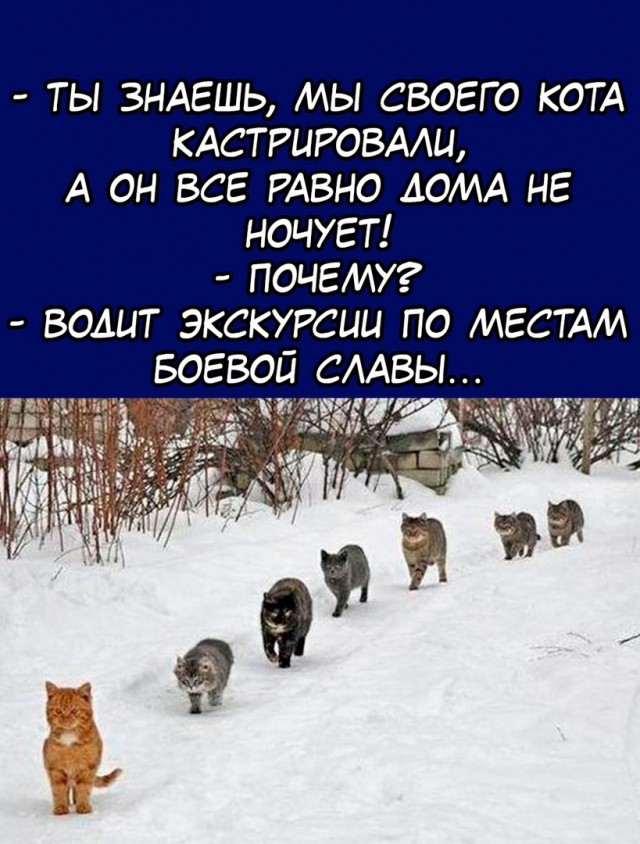 Так себе картинки 19.10.22