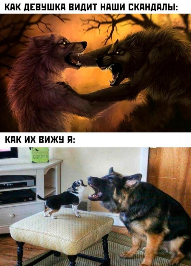 Картинки и мемы, выходные продолжаются