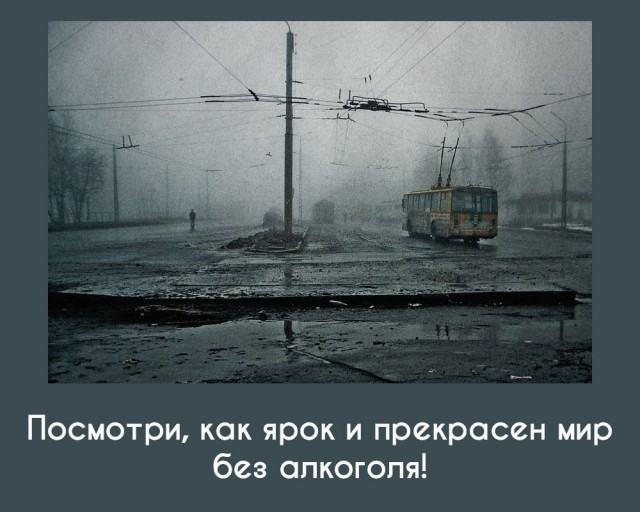 Трезвости пост