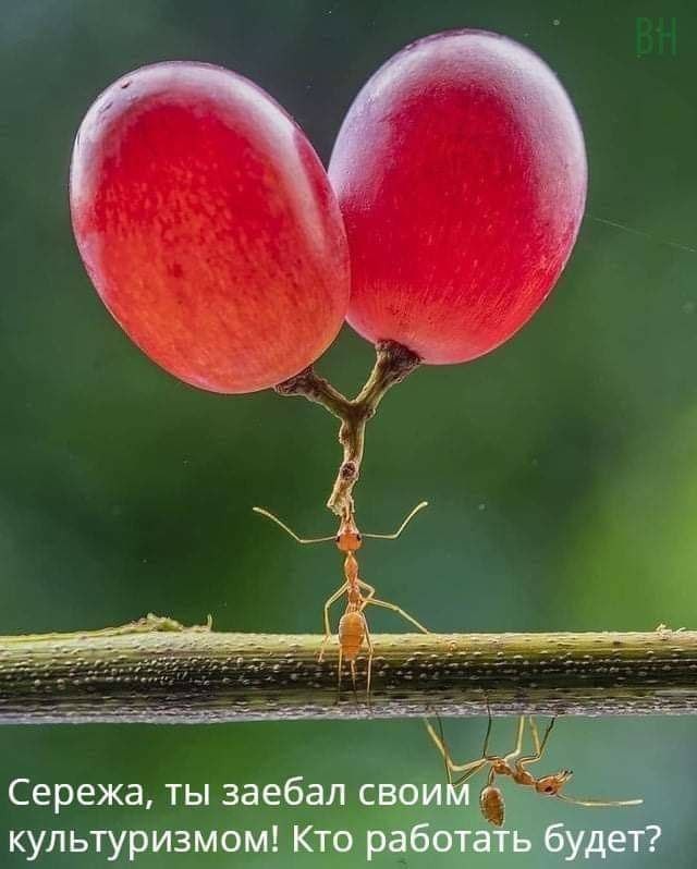 Подборка картинок 10.04.2023