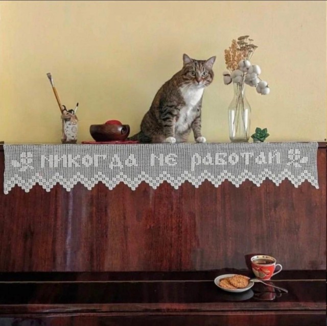 Всякой Хни вам в ленту, дорогие деграданты