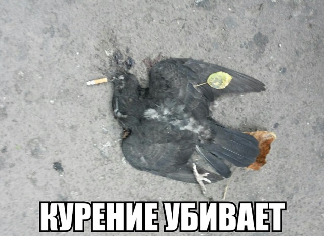 Иллюзия реальности (наша Матрица)