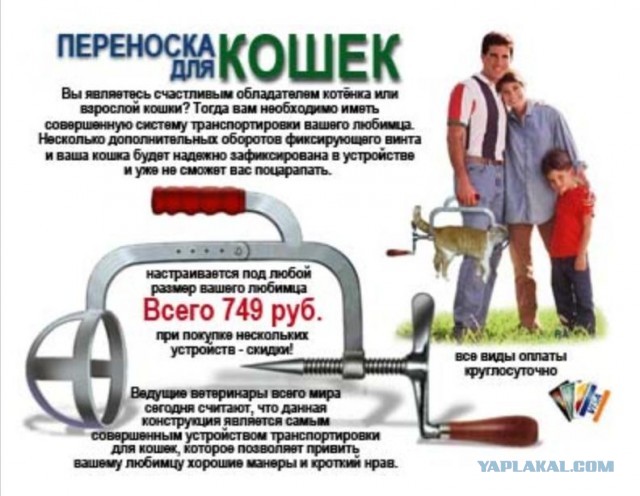 Костромской депутат изобрел устройство для людей, испытывающих сложности с дефекацией