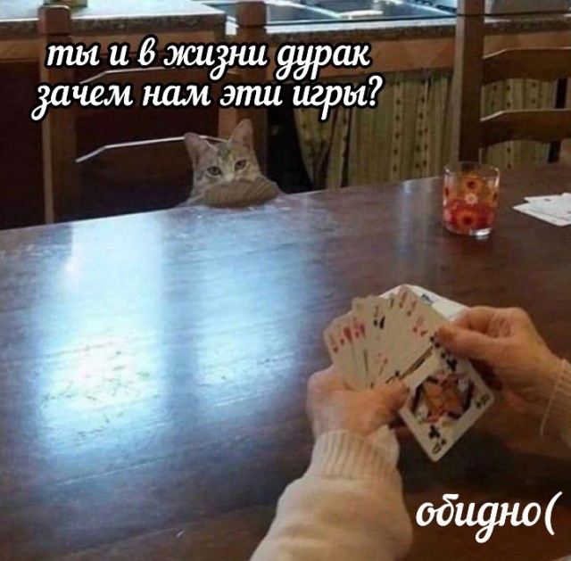 Всего понемногу. От 05.10.23