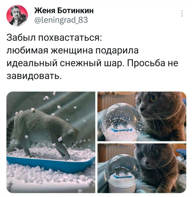 Котокартинки