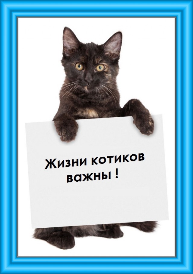 В отношении проводницы возбудили уголовное дело