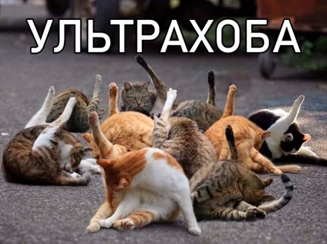 Разновидности Хоба