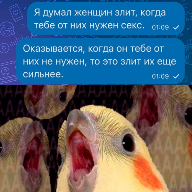 Весёлый полтишок 04.03.24