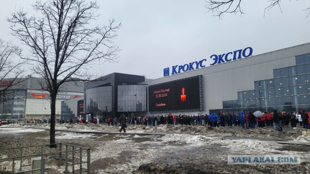 Про экспертов и людей