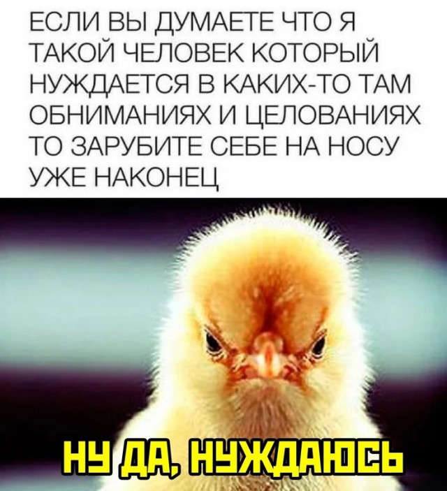 Весёлый полтишок 05.05.24