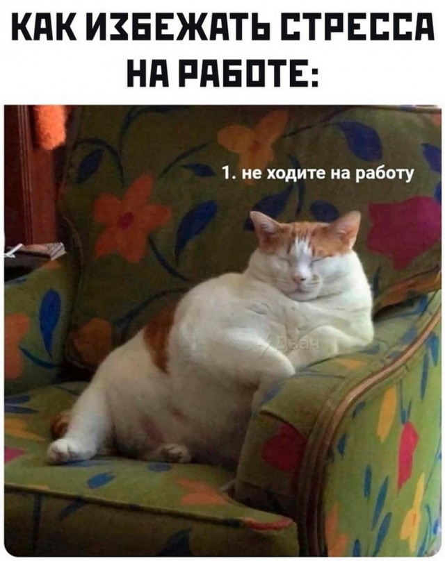 Так себе картинки 23.05.24