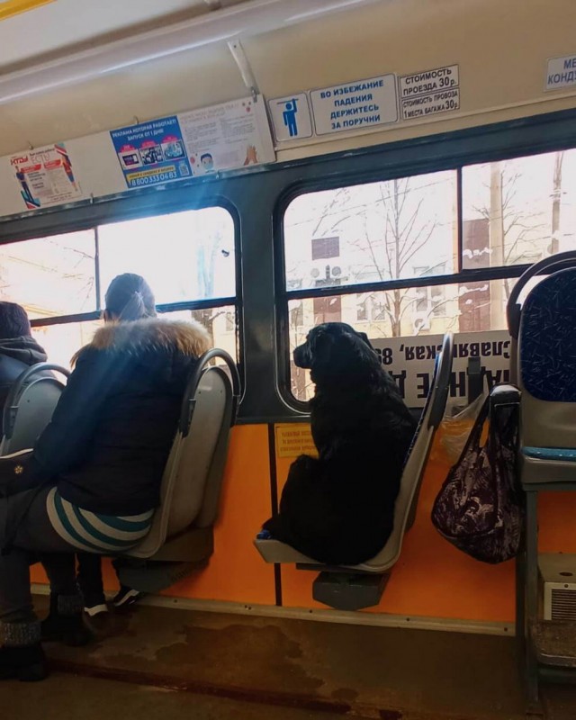 Картинки