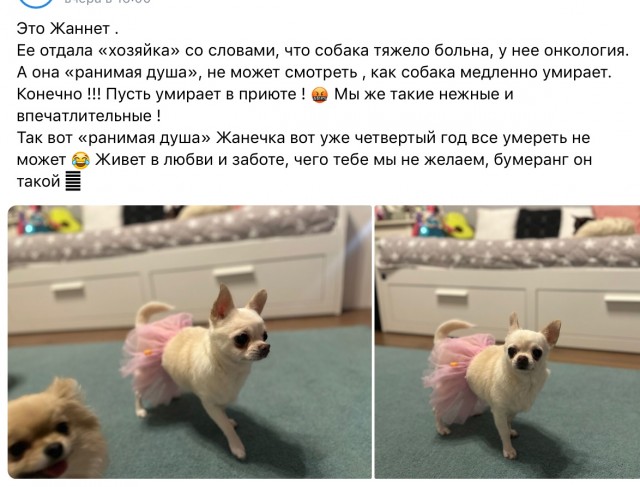 Последнее нарушение дисциплины...