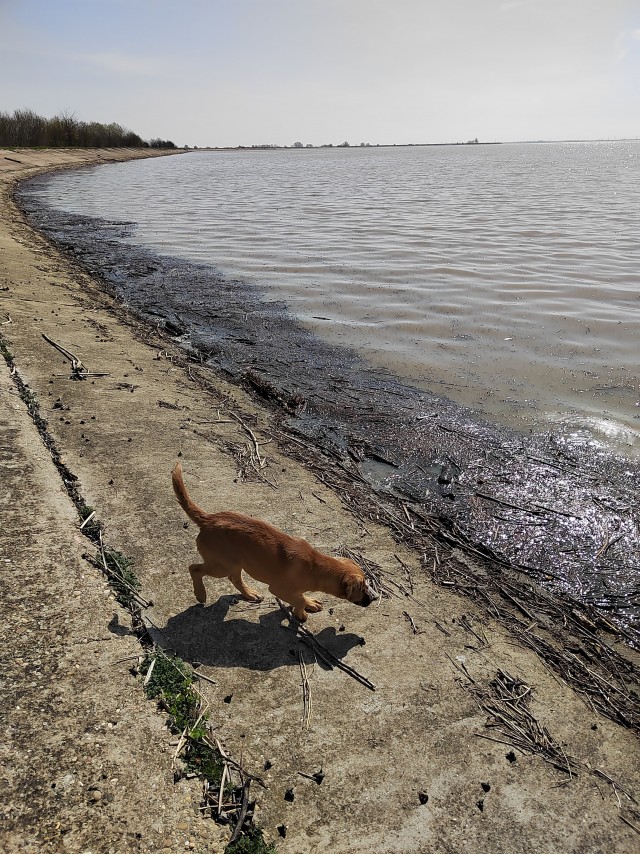 Вазузское водохранилище