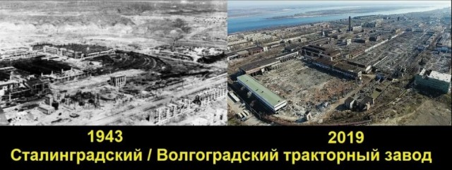 Путин удивился закупке Россией изделий из древесины за границей