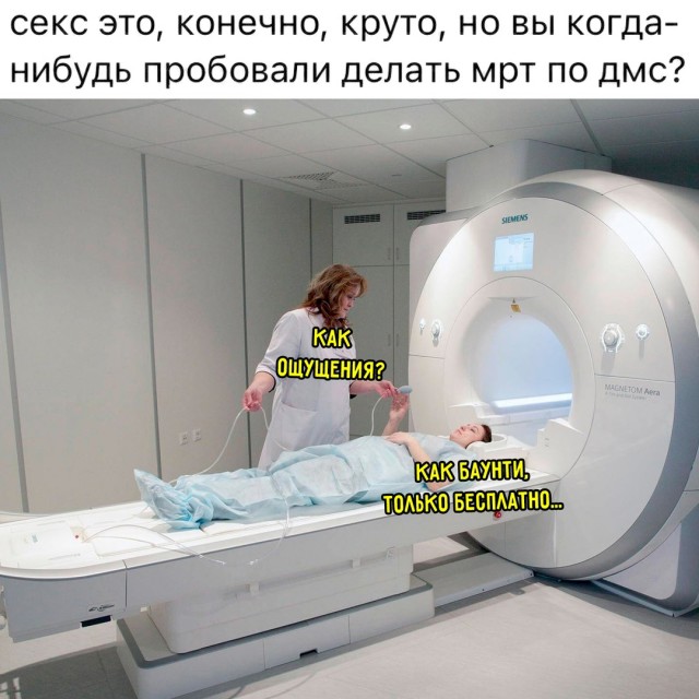 Весёлый полтишок 01.11.24