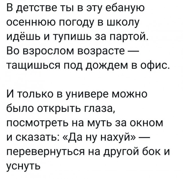 Всего понемногу. От 14.11.2024