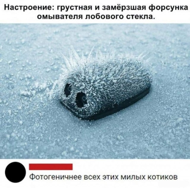 Картинки для пятницы