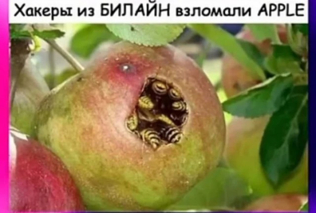 Как всегда, старался не боянить, но....
