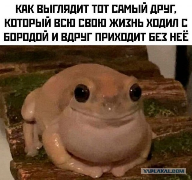 Юмор для тех, кто уже повзрослел и понял, что «готовка» — это разогреть вчерашний суп
