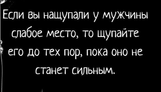 Так себе картинки 24.08.25